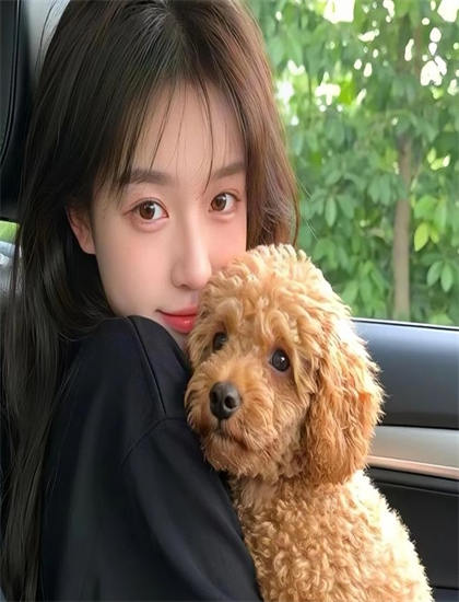 摄影师视觉语言解读拉孔布吕西安票房的收入数据与市场反应 【文化内涵解析】